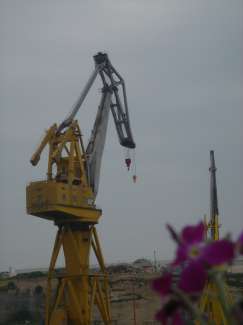 DSC05350.JPG
